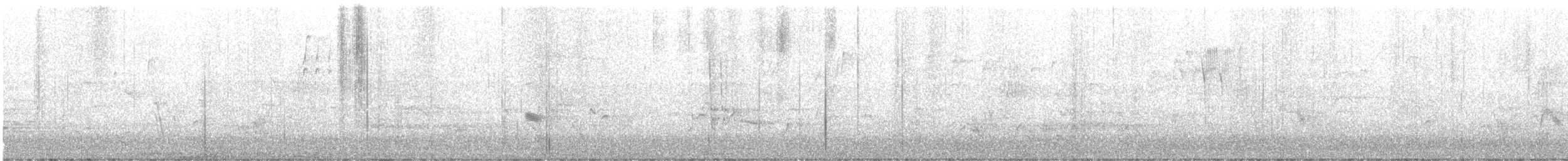 Musendrossel, unbestimmt - ML635271031