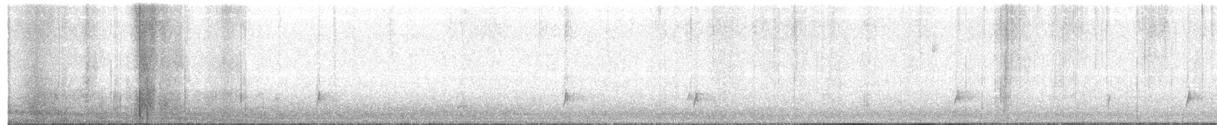 Дрізд-короткодзьоб Cвенсона - ML63527191