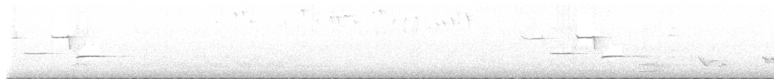 Carolina Chickadee - ML635274595