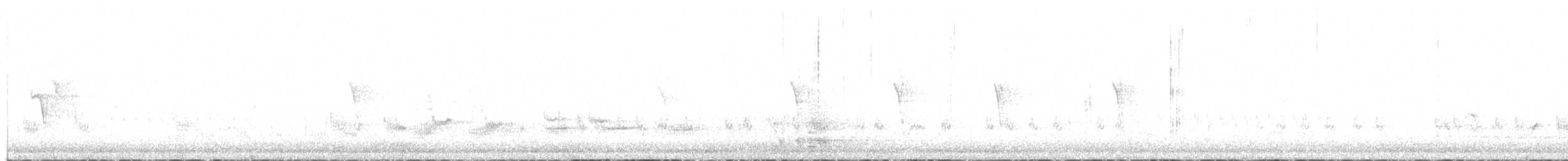 ノドグロハチマキミツスイ - ML635274860