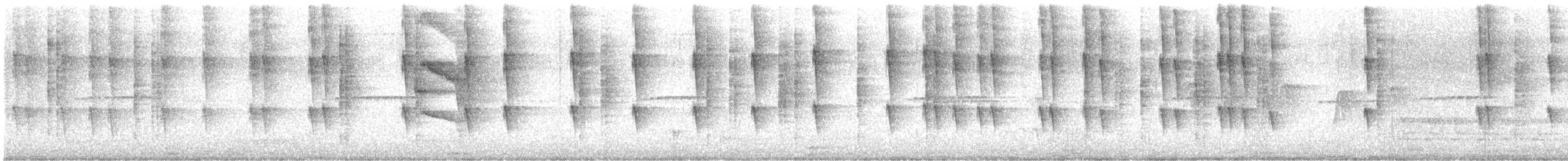 Wedge-tailed Sabrewing - ML635275116