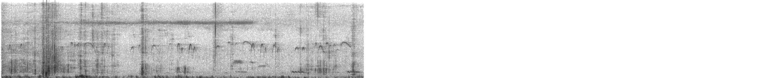 Asian Palm Swift - ML635276256