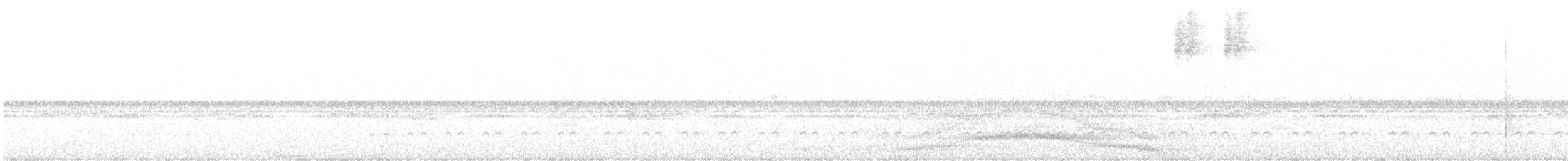 Wattled Guan - ML635279879