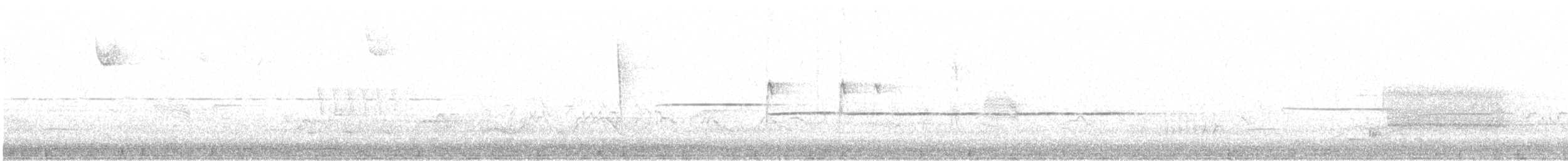 Common Nighthawk - ML635281366