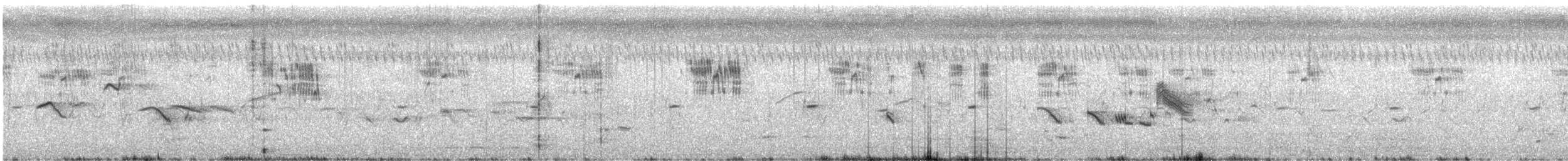 Pied Bushchat - ML635285109