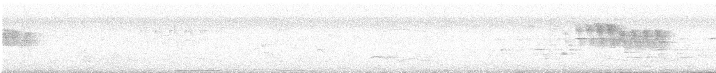 White-tipped Dove (White-tipped) - ML635285747