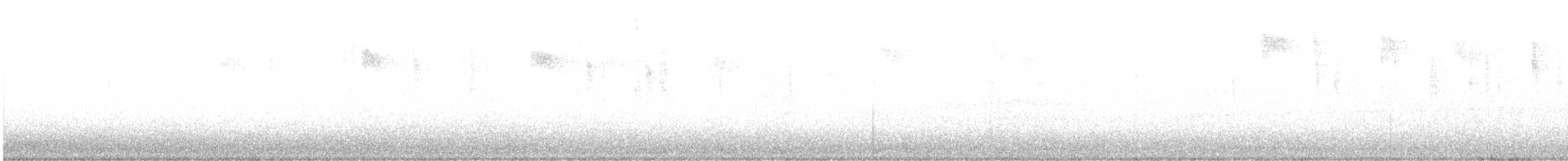 Allen's Hummingbird - ML635285890