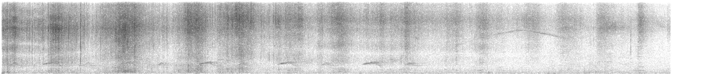 Bumblebee Hummingbird - ML635286052