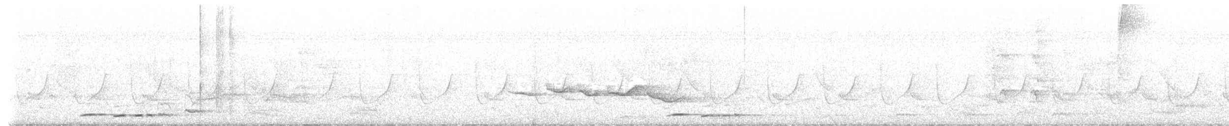 Indian Scimitar-Babbler - ML635286101