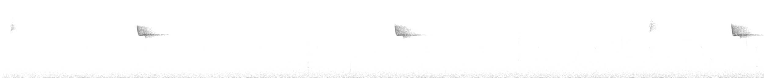 キメジロハエトリ - ML635286272