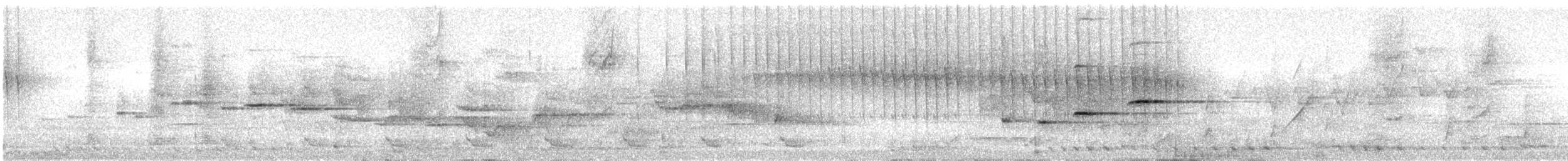White-throated Fantail - ML635295975