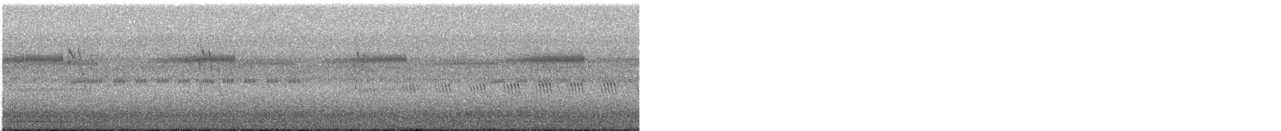 Silver-backed Needletail - ML635297869