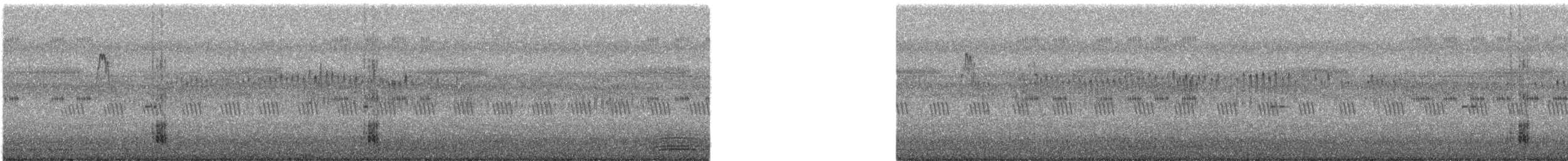 Silver-backed Needletail - ML635298060