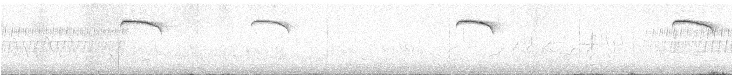 American Robin - ML635299219