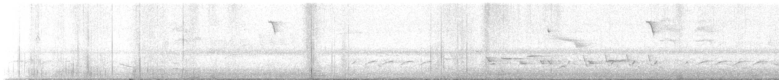Wilson's Warbler - ML635299522
