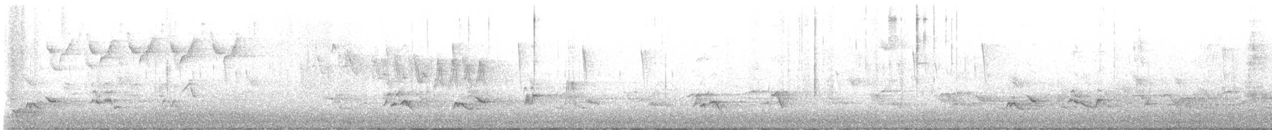 Wilson's Warbler - ML635300019