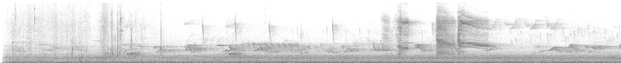 Wilson's Warbler - ML635300020