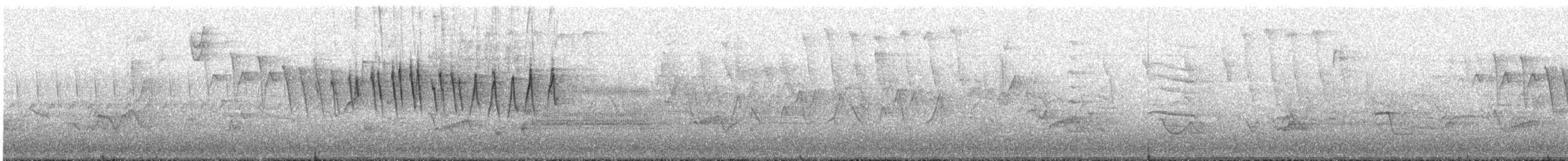 Paruline à calotte noire - ML635302510