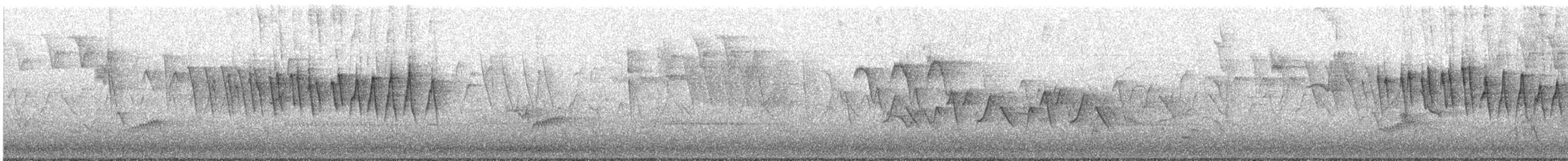 Paruline à calotte noire - ML635302512