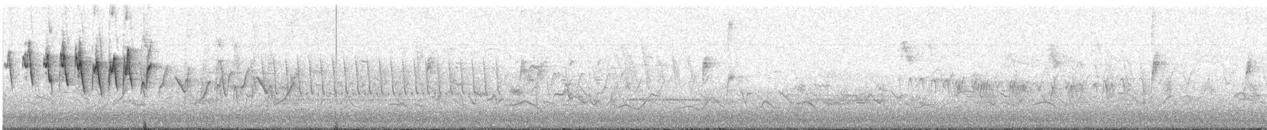 Paruline à calotte noire - ML635302513