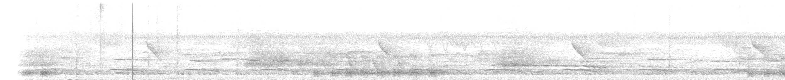 Espolonero Chinquis - ML635302531