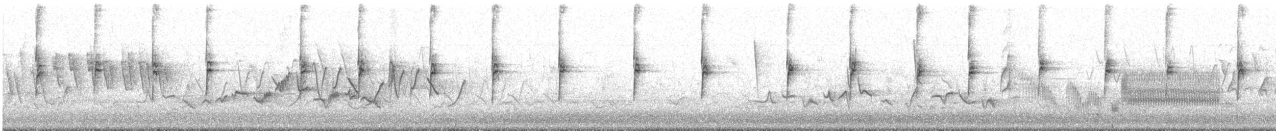 Bruant à couronne blanche (leucophrys) - ML635302547