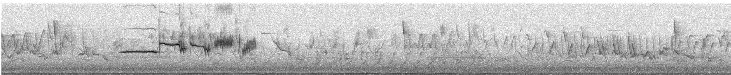 Bruant à couronne blanche (leucophrys) - ML635302548