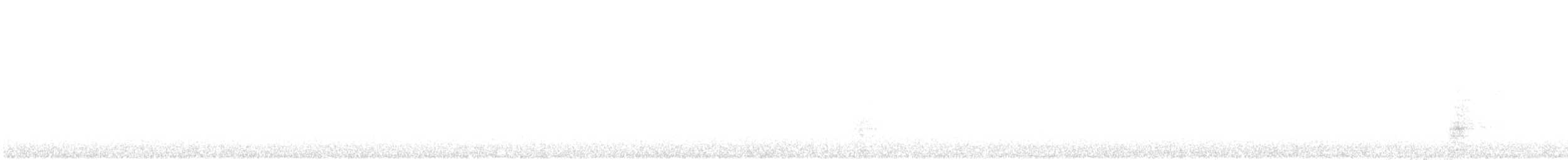 Great Blue Heron (Great Blue) - ML635302727