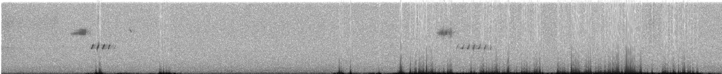 Black-throated Sparrow - ML635302824