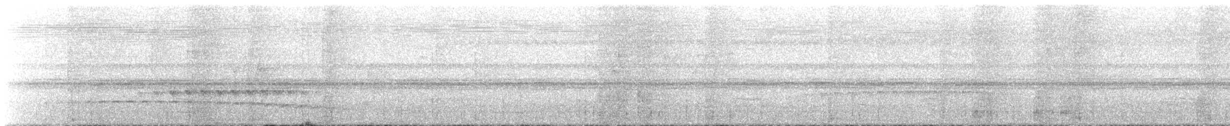 Hormiguero Tirano - ML635304337