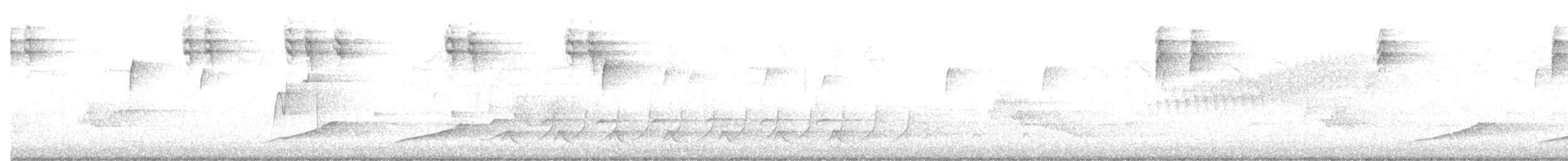 Buchenschnäppertyrann - ML635304417