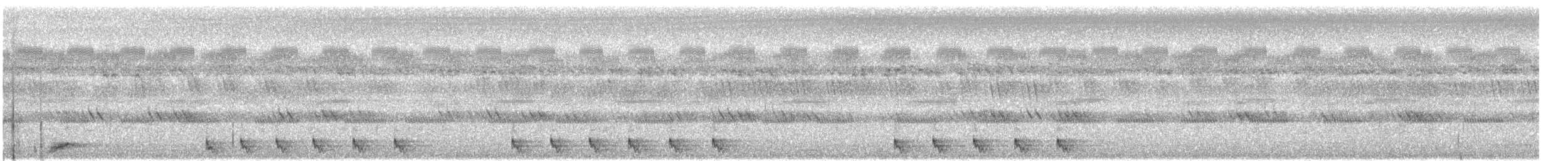 Andaman Nightjar - ML635304424