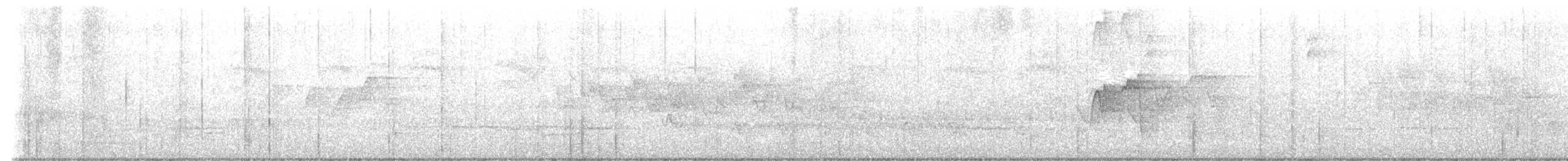 Buchenschnäppertyrann - ML635305819