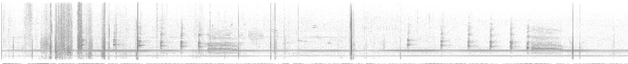 Ridgway's Rail (Yuma) - ML635307619