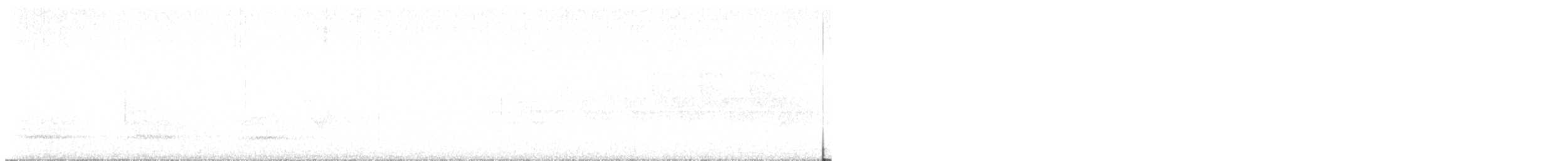 Качка sp. - ML635309607