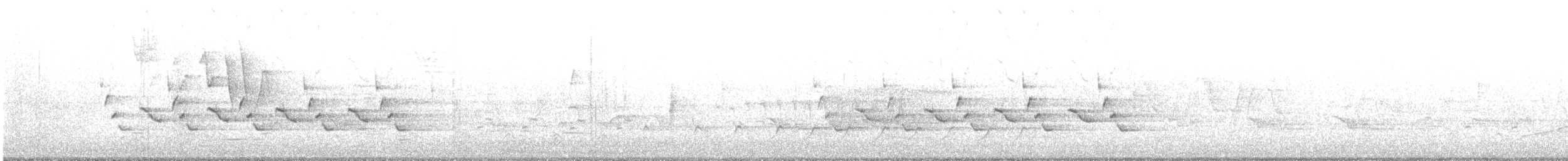 Carolina Wren - ML635312163