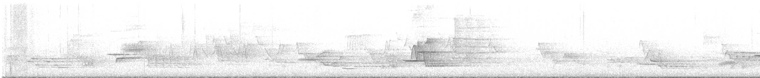 Buchenschnäppertyrann - ML635313866