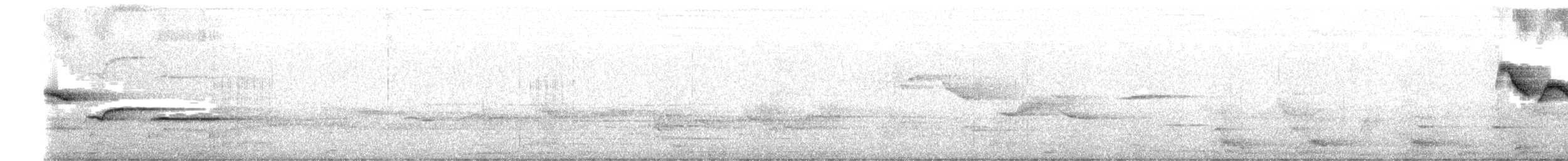 Nilgiri Sholakili - ML635315143