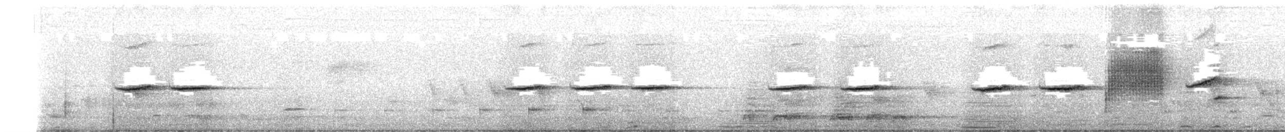 Nilgiri Sholakili - ML635315146