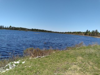 Shelldrake Campground area, Chippewa, Michigan, United States - eBird ...