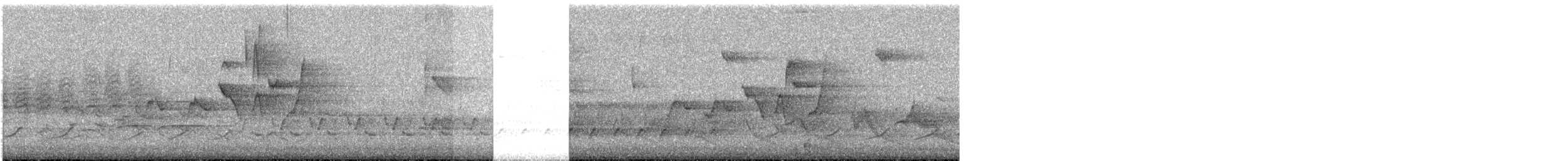 pěvec sp. - ML635323054