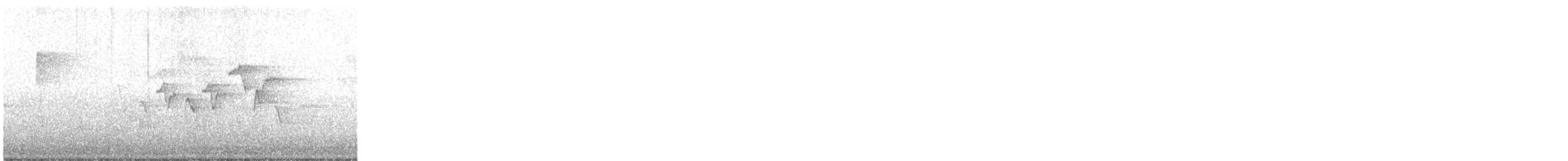 Paruline à tête cendrée - ML635324968