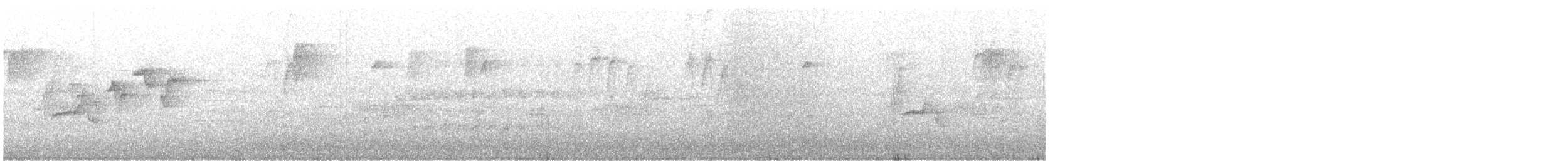 Paruline à tête cendrée - ML635324969