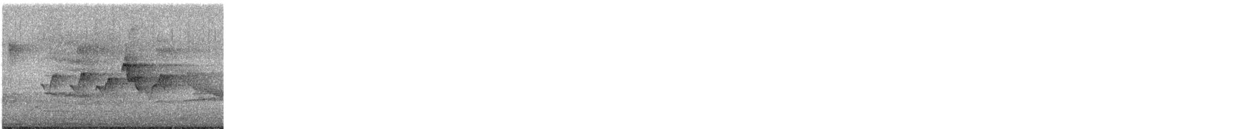 Пісняр-лісовик канадський - ML635326545