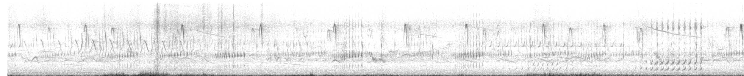 Gelbralle (noveboracensis) - ML635327228