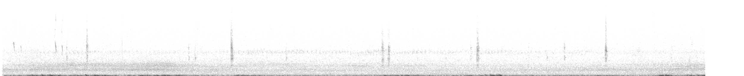 Brewer's Blackbird - ML635332264