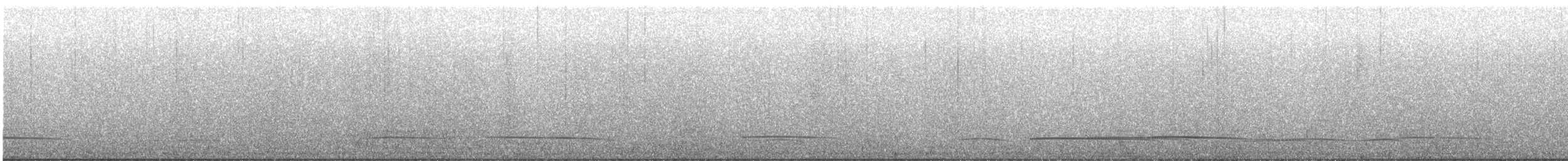 Black Scoter - ML635332483