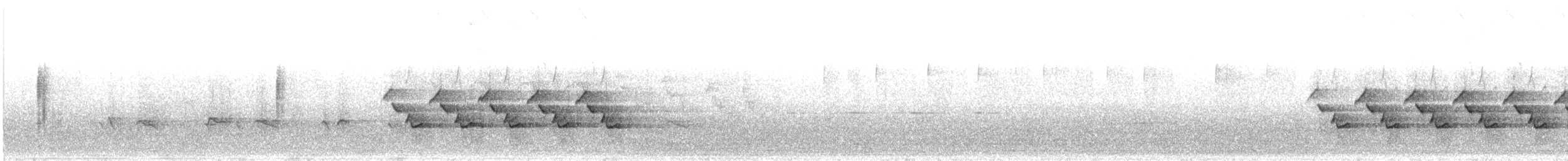 Carolina Wren - ML635335180