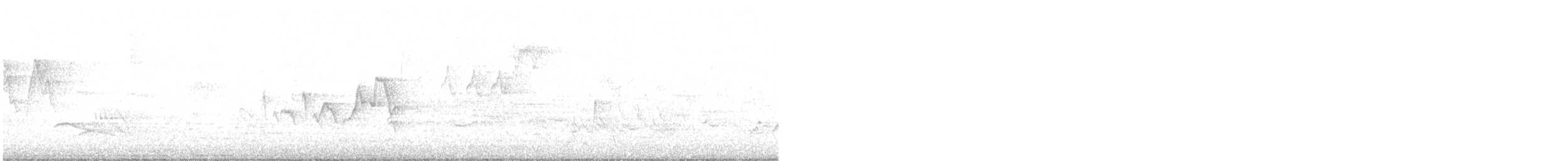 Magnolia Warbler - ML635336482