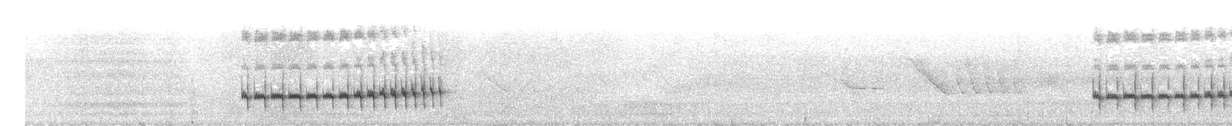 Panao Antpitta - ML635341976
